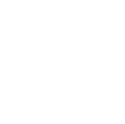 Valorix