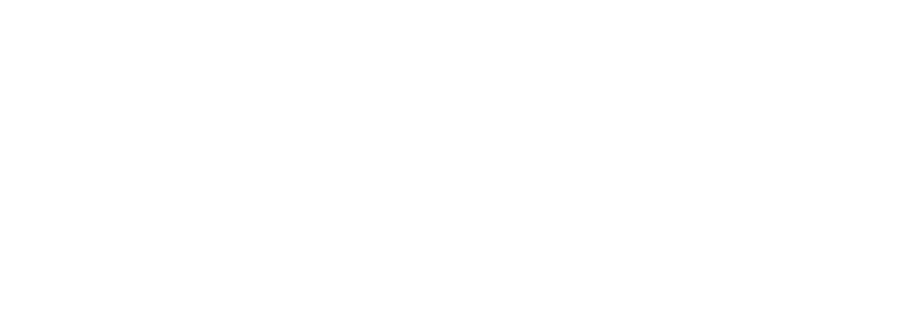 Valorix